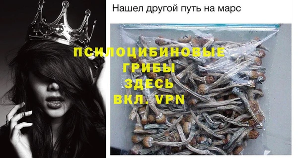 гидропоника Богданович