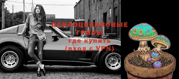 гидропоника Богданович