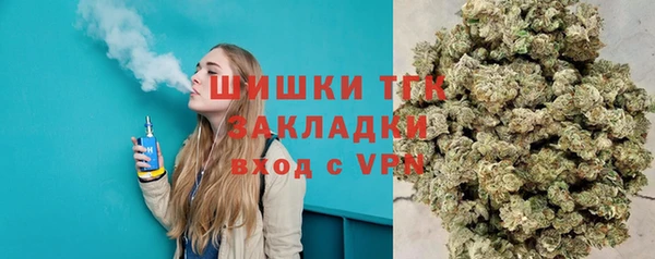 гидропоника Богданович