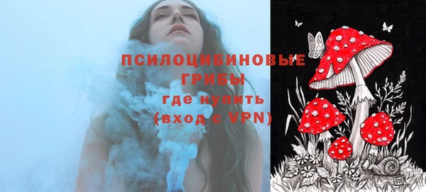 кокаин премиум Богородицк